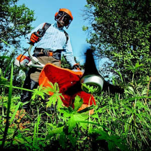 3 consigli per mantenere il tuo giardino in ordine in ogni stagione