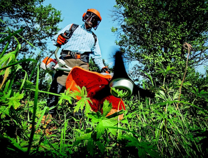 3 consigli per mantenere il tuo giardino in ordine in ogni stagione