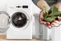 Alloro in lavatrice: il trucco casalingo per risultati impressionanti!