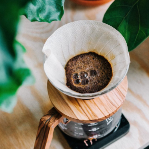 Fondi di caffè per piante da appartamento: fertilizzante naturale ed economico!
