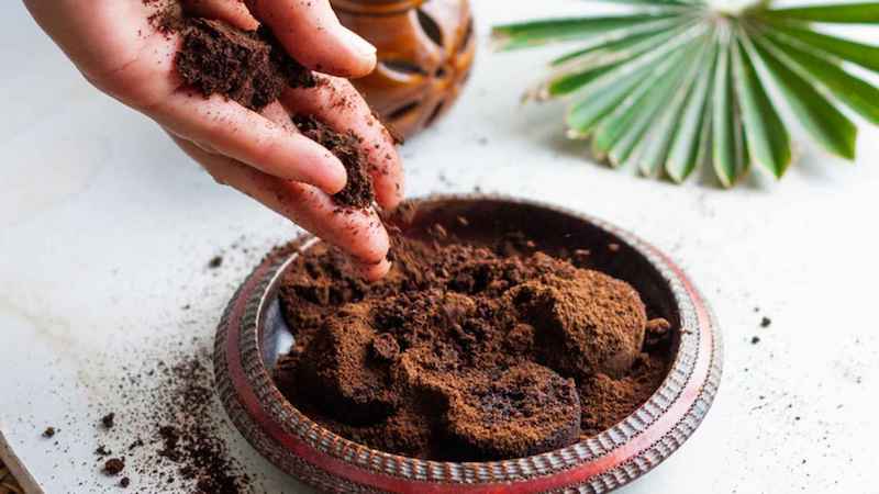 utilizzare i residui di caffe per le piante