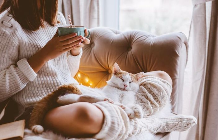 Come tenere la casa calda in inverno – trucchi per non disperdere il calore!