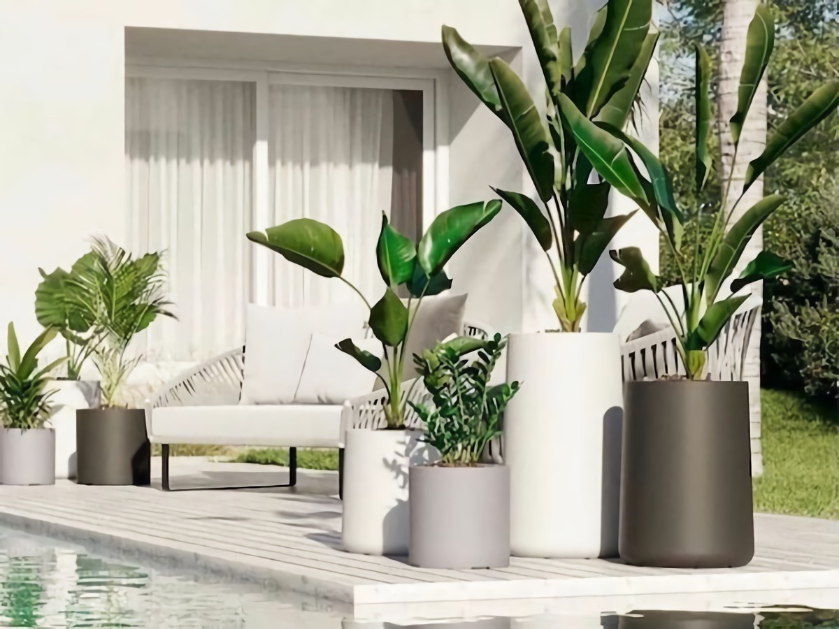 vasi con piante tropicali giardino con piscina