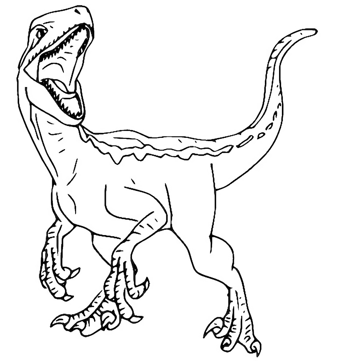 giganotosaurus dinosauri da colorare per bambini