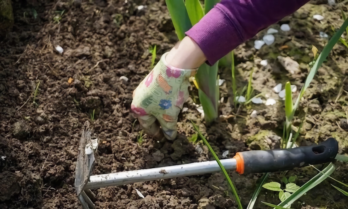 preparare il terreno in orto con rastrello