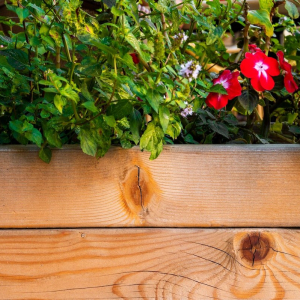 La creatività al servizio della casa: idee per rinnovare l’arredo