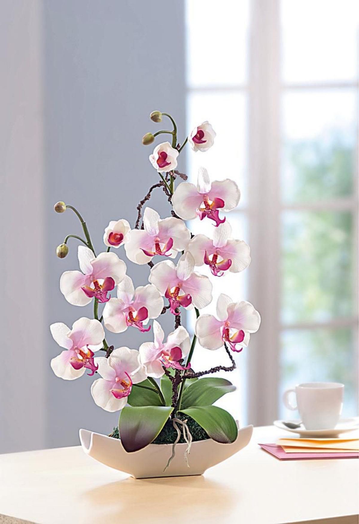 tavolo da pranzo con pianta da appartamento orchidea dai fiori bianchi