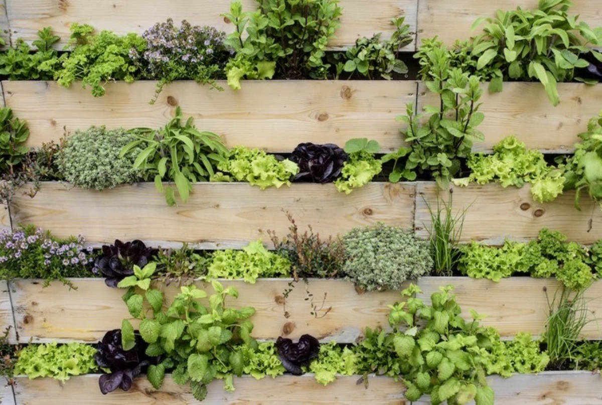 come creare un giardino verticale con piante aromatiche