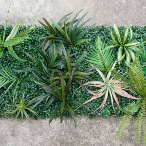Come creare un giardino verticale in modo semplice con passaggi da seguire!