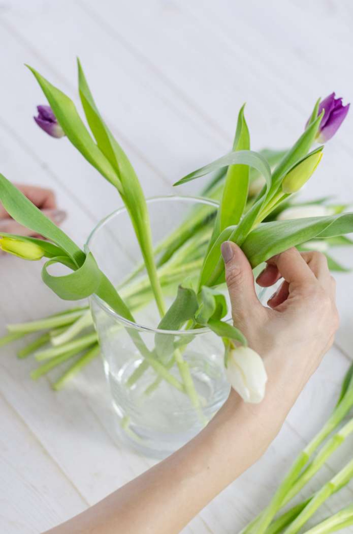 far durare i tulipani in vaso con acqua piovana