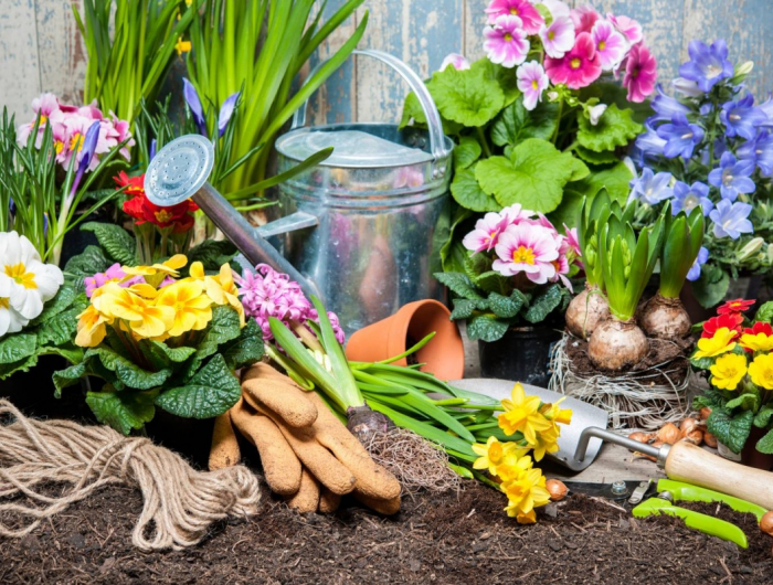 Fiori primaverili facili da coltivare e godersi un’estate colorata!