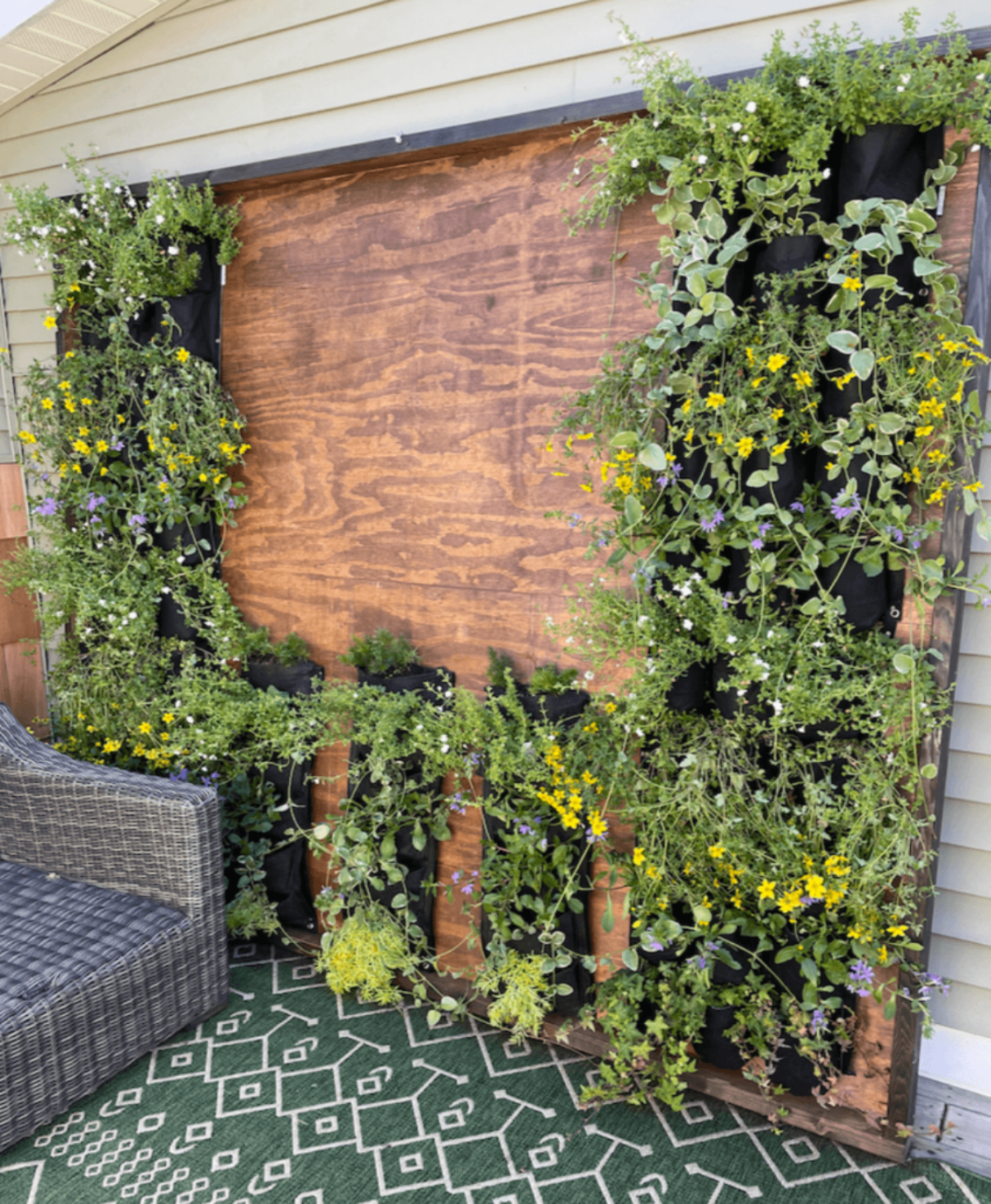 parete vivente con piante verdi ornamentali arredamento giardino