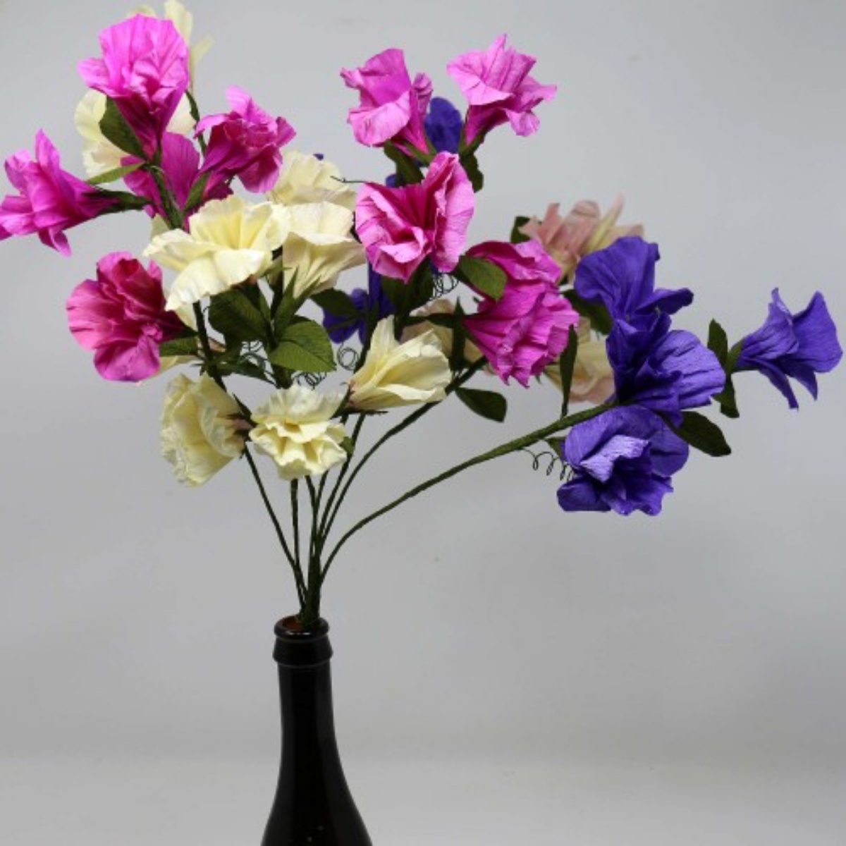 pisello odoroso in vaso decorazione con fiori