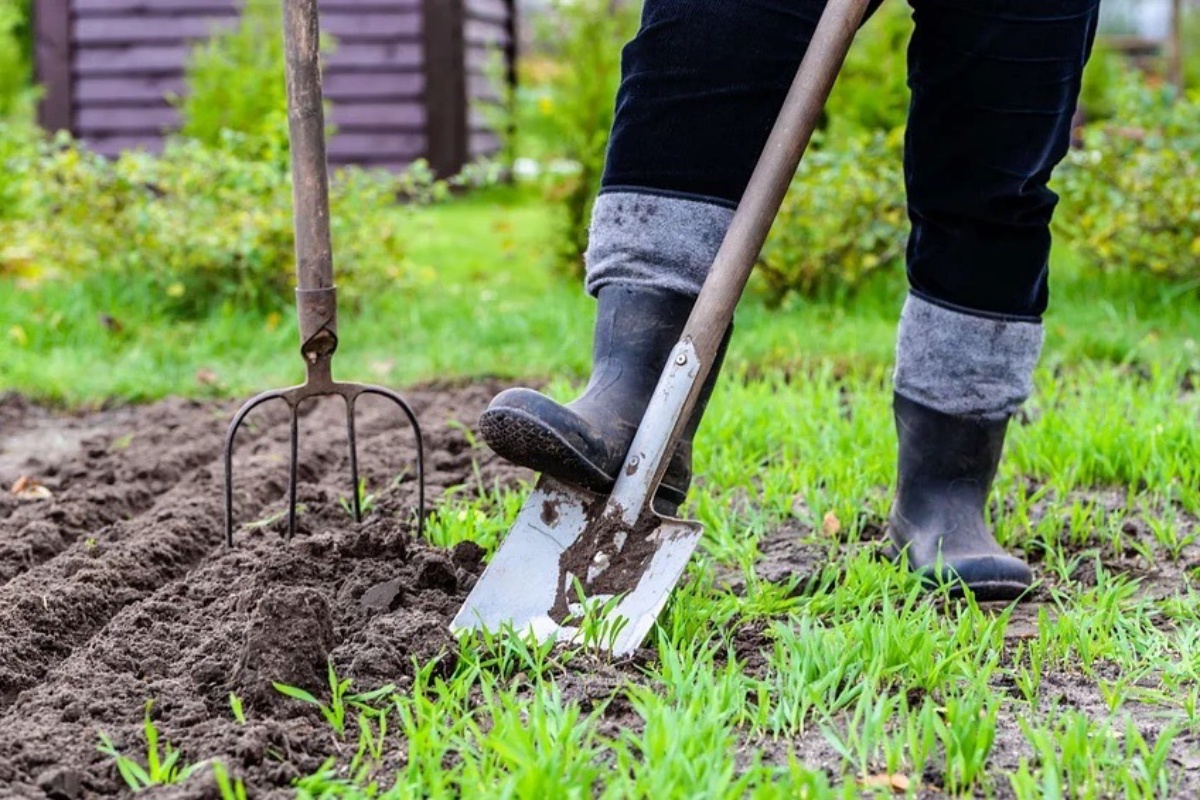 preparare orto in primavera raschiare il terreno