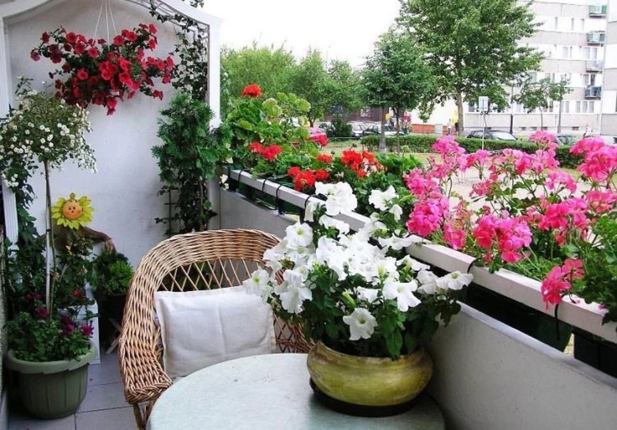 ringhiera balcone con piante fiorite estive