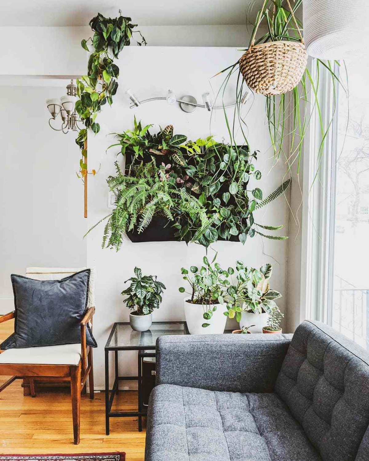 soggiorno con parete verticale di piante da interno