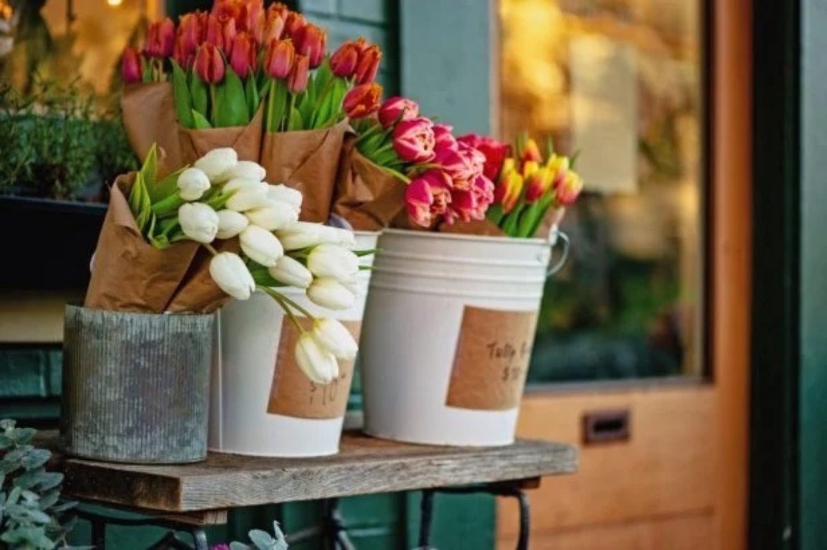 vasi con fiori freschi colorati