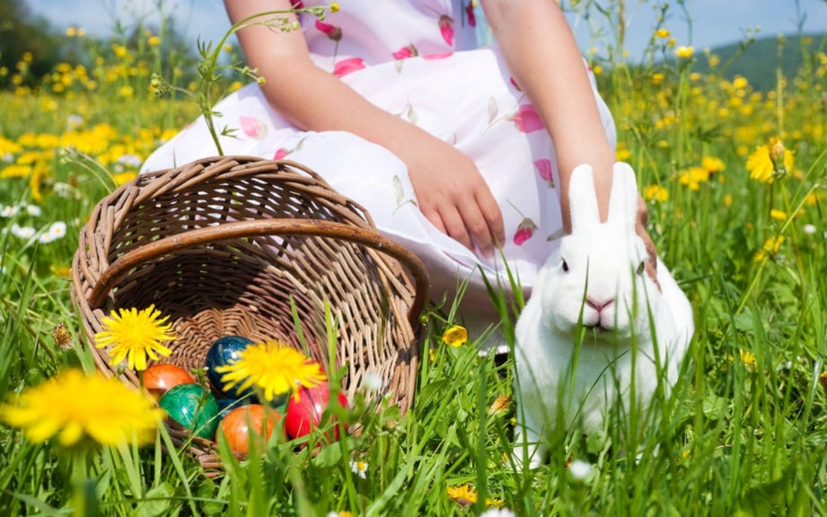 immagini di buona pasqua foto di bambina con coniglietto uova colorate
