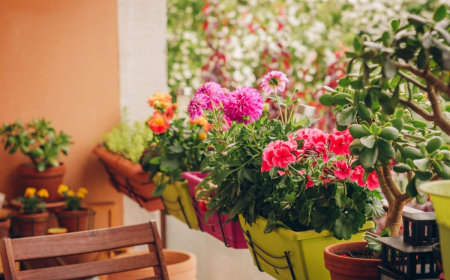 Crea delle aiuole magnifiche con i fiori piantati a maggio!