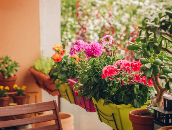 Crea delle aiuole magnifiche con i fiori piantati a maggio!