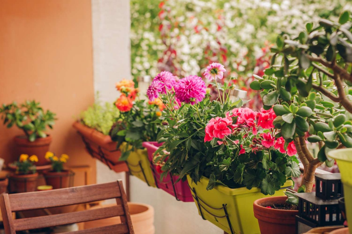 balcone fiorito ringhiera con vasi fiori estivi