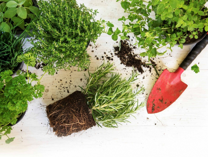 Come fare un orto su un terrazzo piccolo sfruttando tutto lo spazio