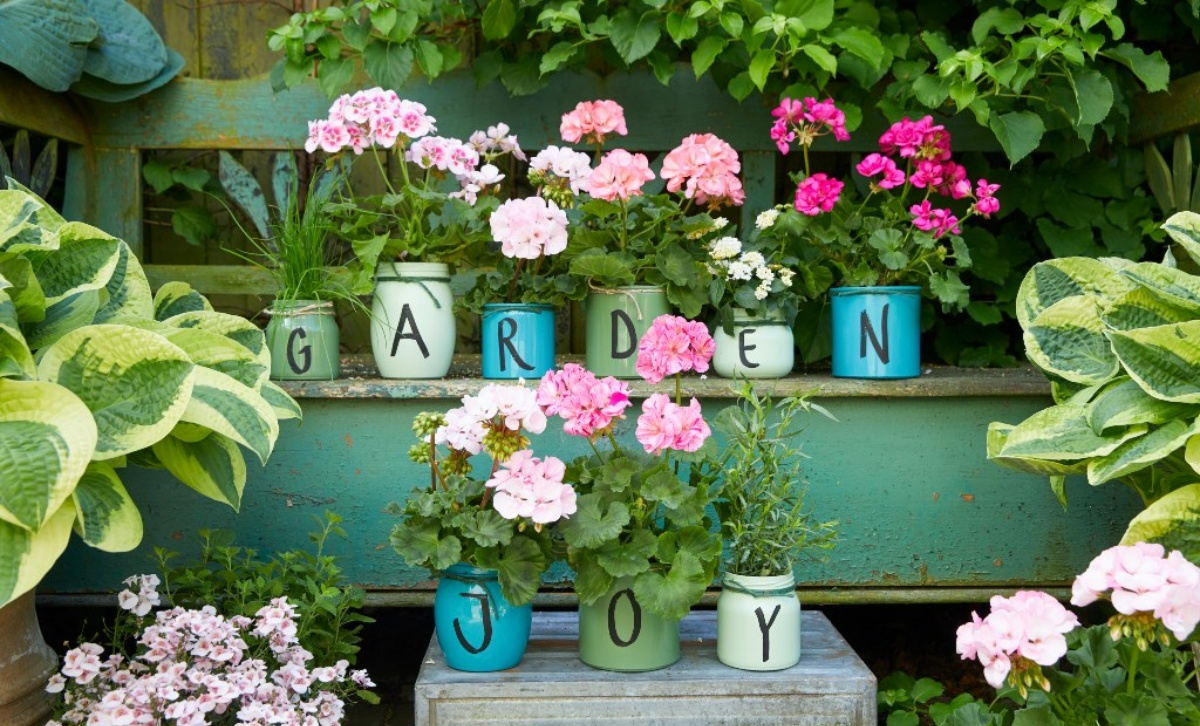 decorazioni giardino con vasi di piante