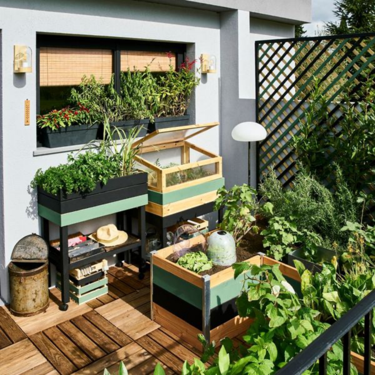 orto sul terrazzo piccolo letti di legno per coltivare ortaggi