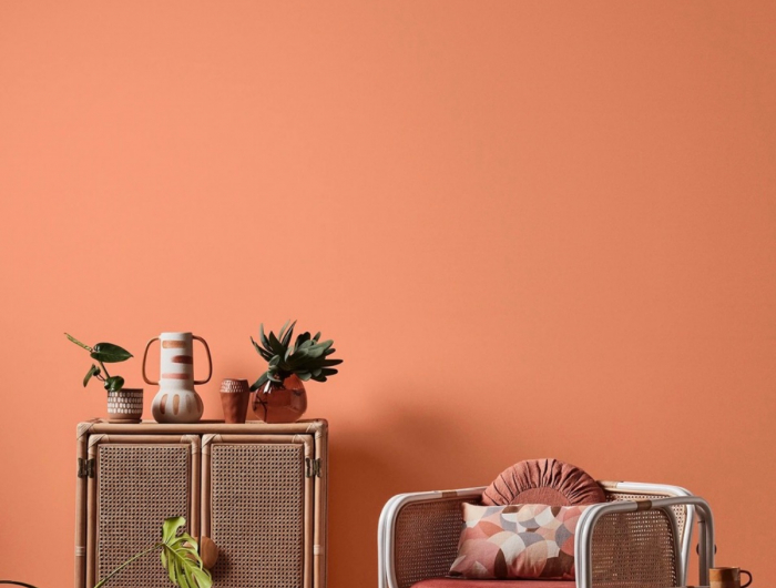 Arreda con originalità e vivacità gli ambienti della casa con il color albicocca!