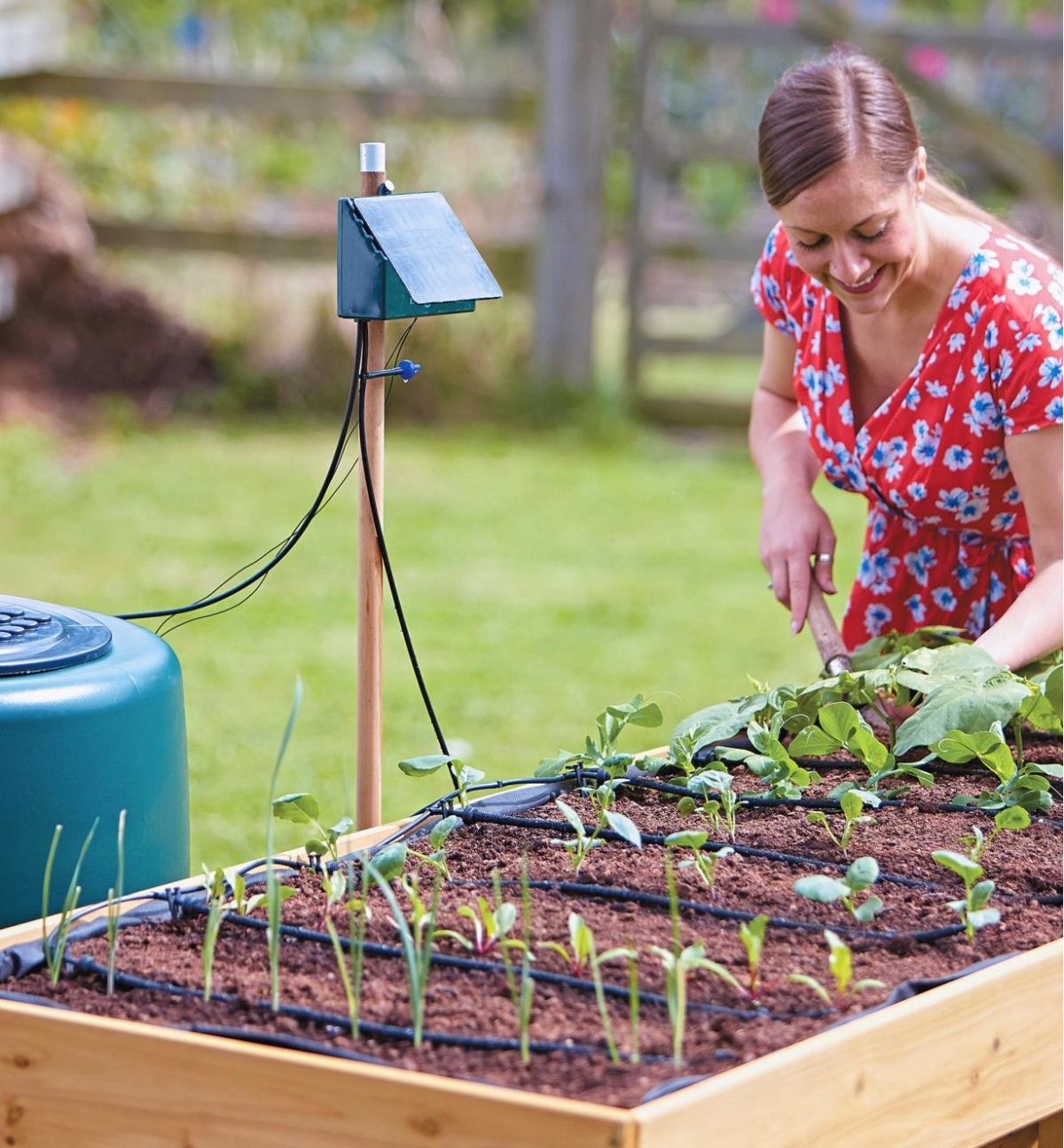coltivazione orto in letto sistemi di irrigazione a goccia solare