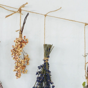 Come essiccare i fiori: metodi di essiccazione e fiori adatti