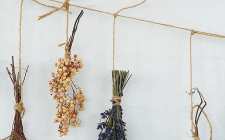 Come essiccare i fiori: metodi di essiccazione e fiori adatti
