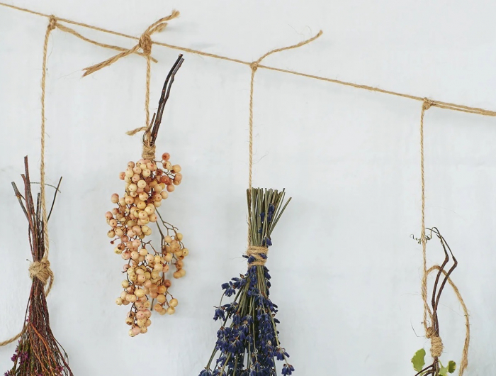 Come essiccare i fiori: metodi di essiccazione e fiori adatti