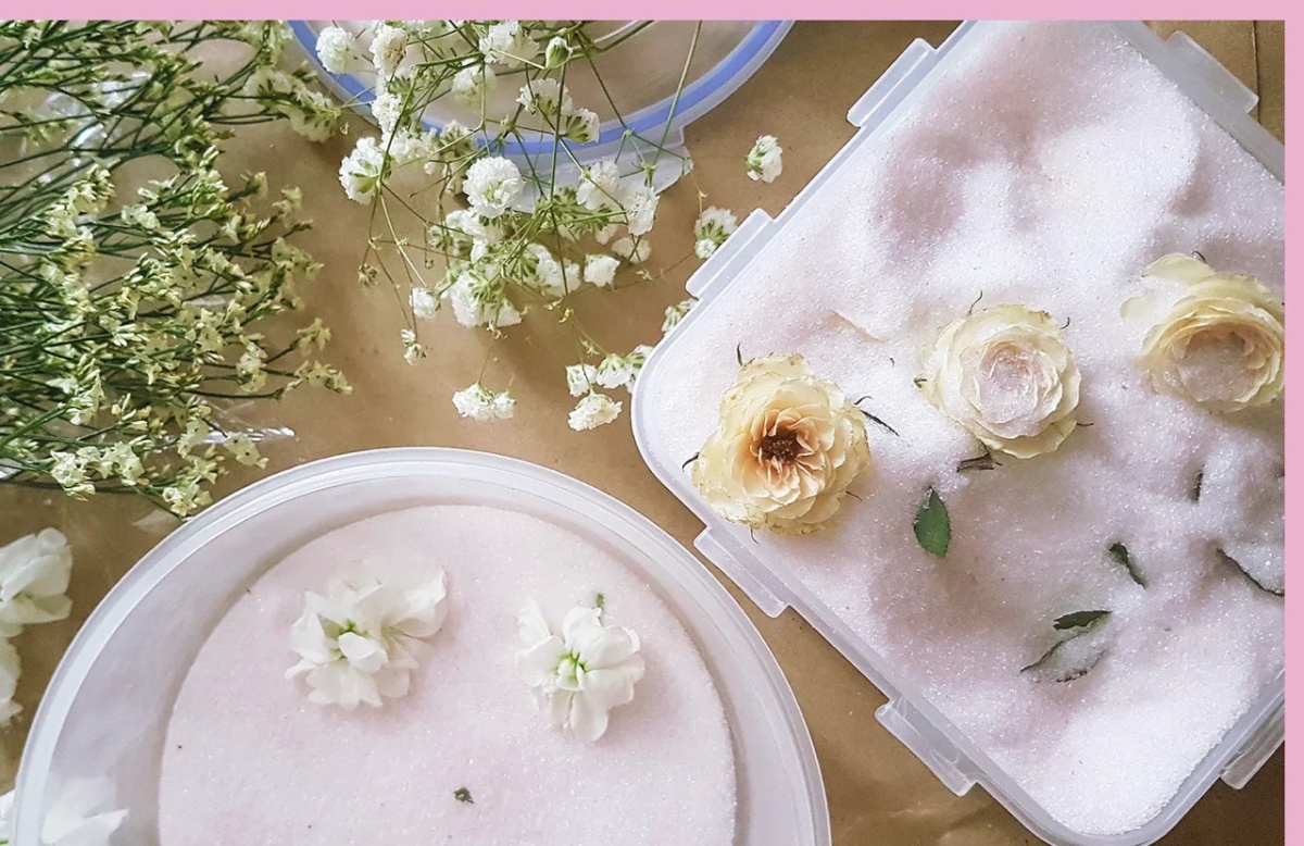 come essiccare i fiori rose bianche gel di silice