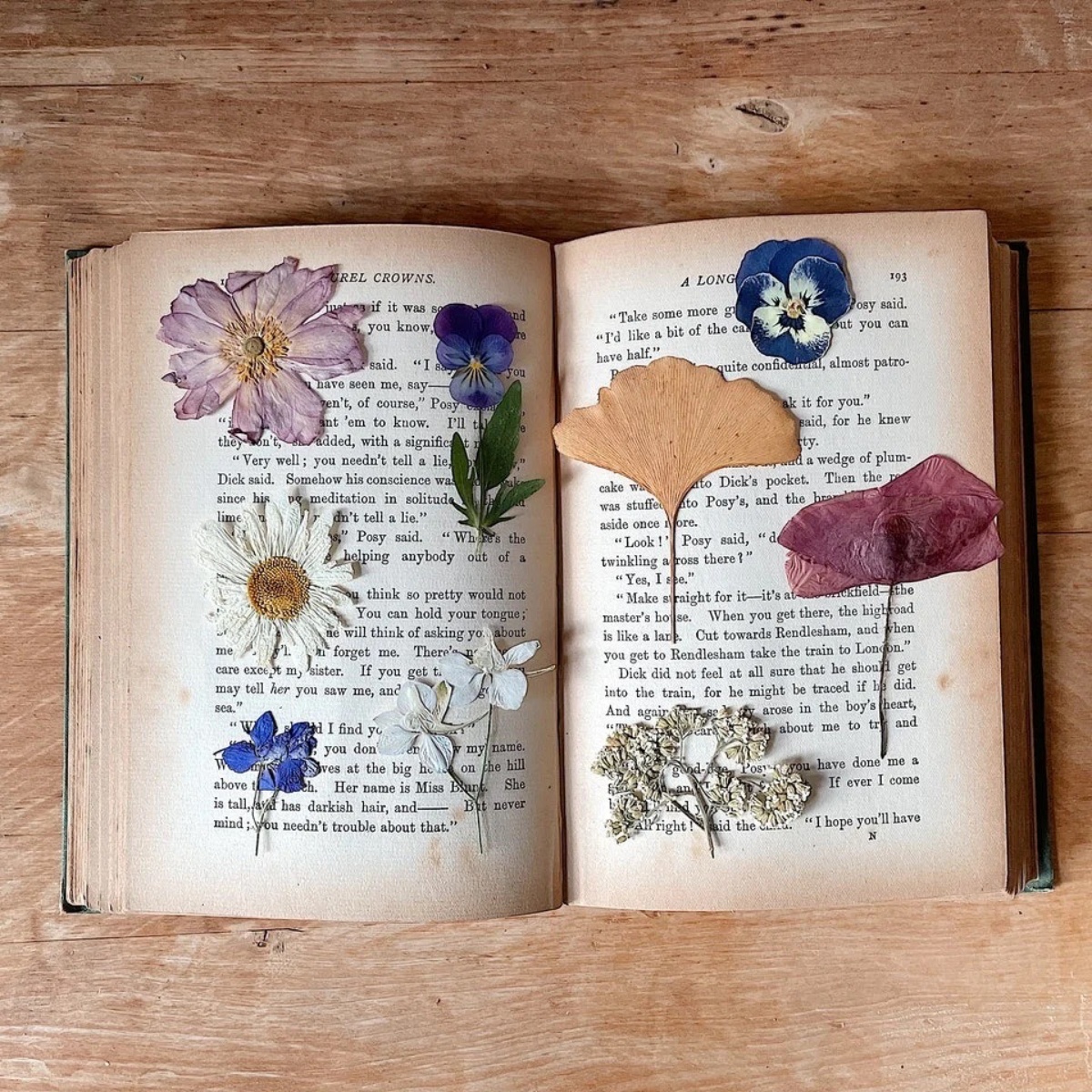 fiori secchi pressati tra le pagine di un libro