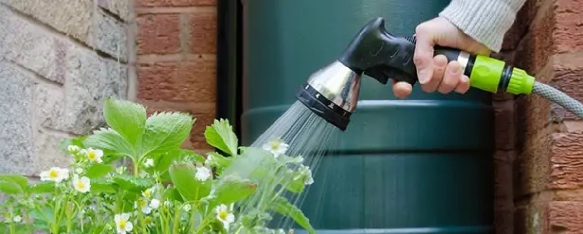 innaffiare le piante con acqua piovana