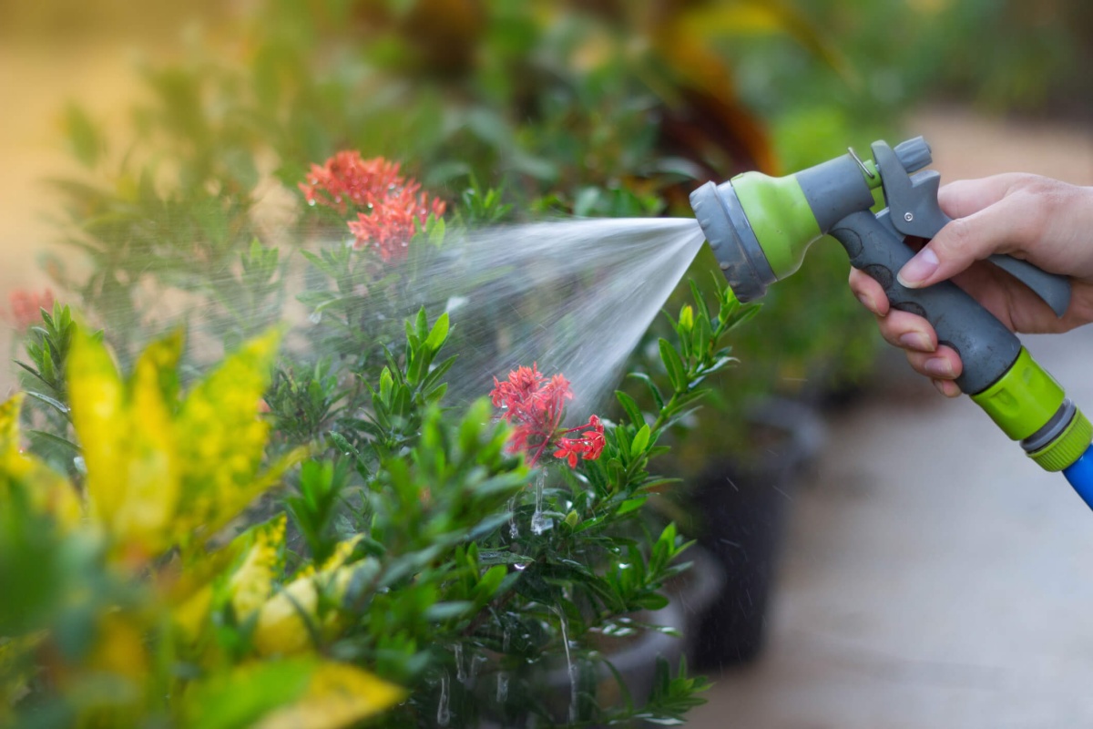 innaffiare le piante del giardino riutilizzare acqua