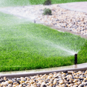 Risparmiare acqua in giardino: i trucchi per limitare i consumi!
