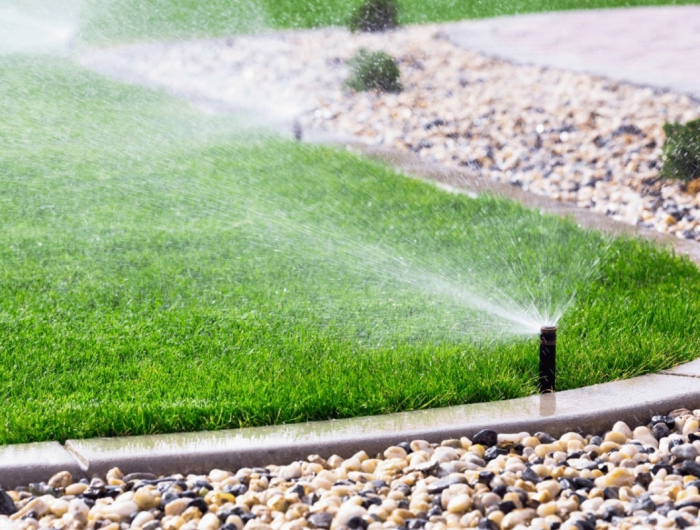 Risparmiare acqua in giardino: i trucchi per limitare i consumi!