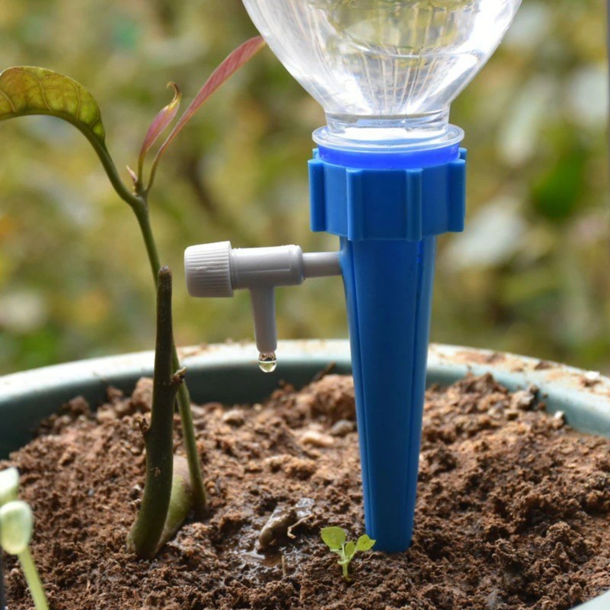sistema automatico di irrigazione a goccia in vaso