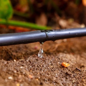 Sistemi di irrigazione a goccia: risparmia fino al 70% di acqua nel giardino