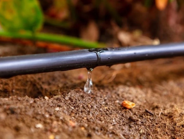 Sistemi di irrigazione a goccia: risparmia fino al 70% di acqua nel giardino