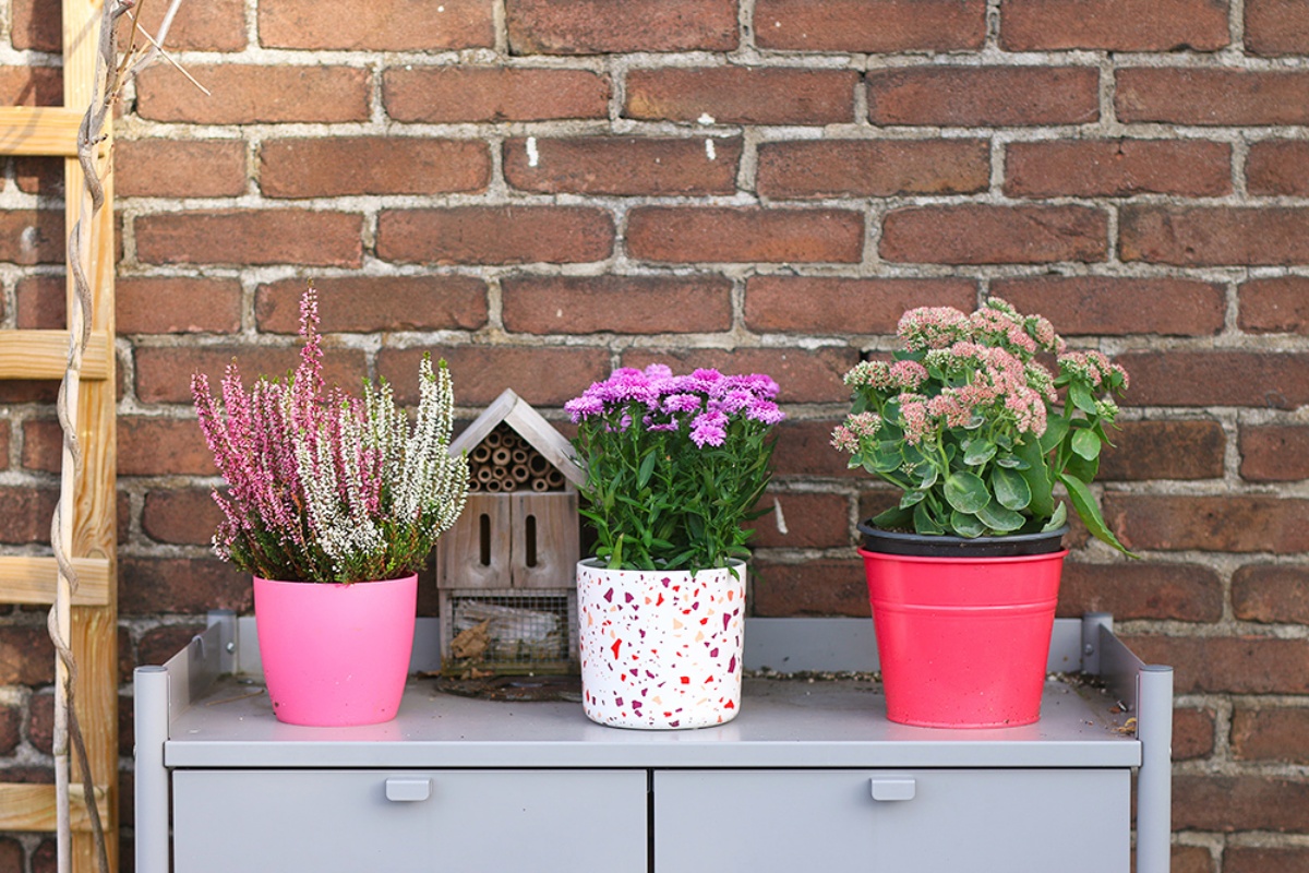 decorazione balcone con vasi di piante colorate
