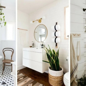 Piante in bagno che sopravvivono all’umidità e alla scarsità di luce