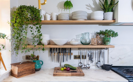 Abbellire la cucina con le piante: dove posizionarle e quali scegliere