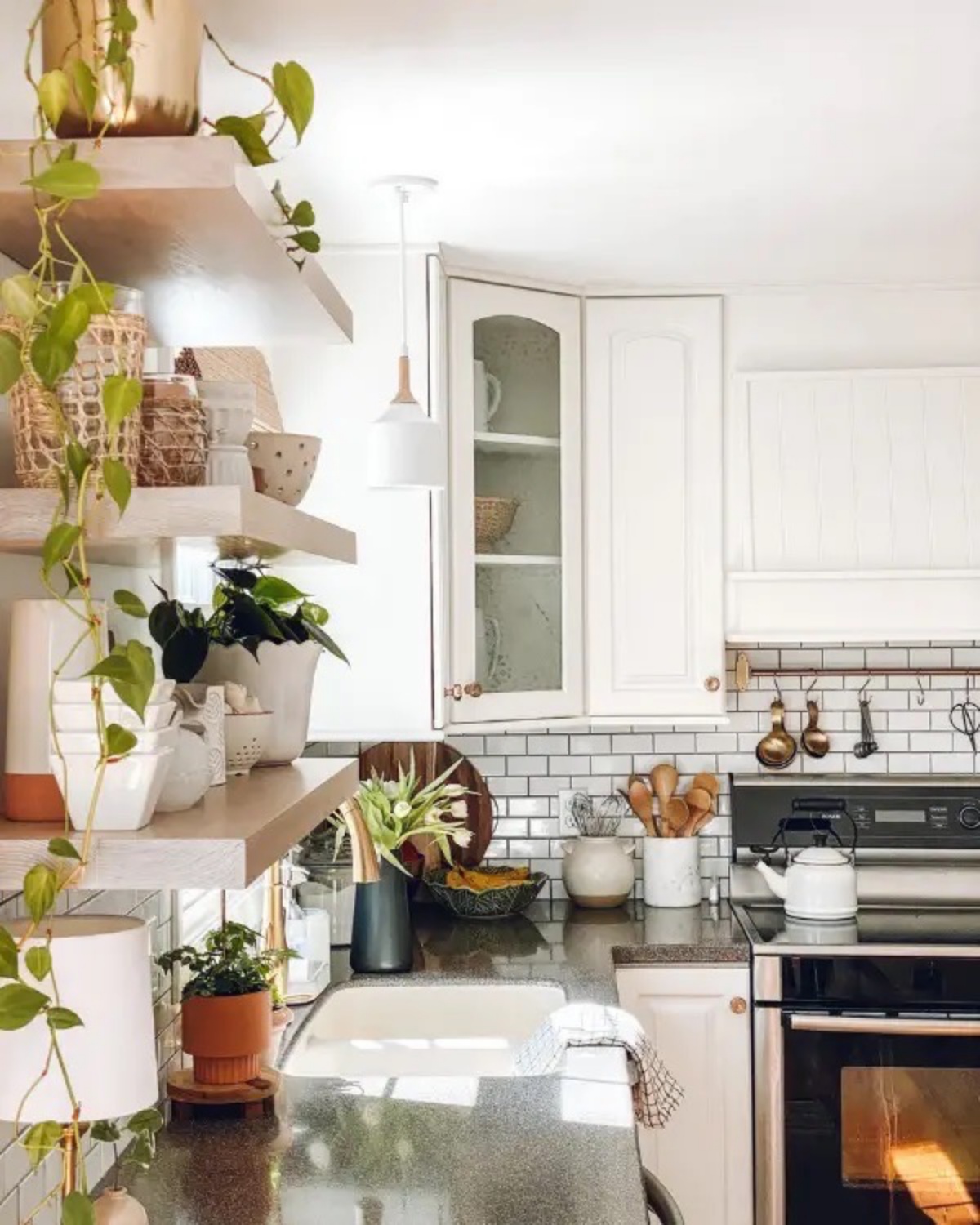 abbellire la cucina con le piante mensole con vasi pianta rampicante
