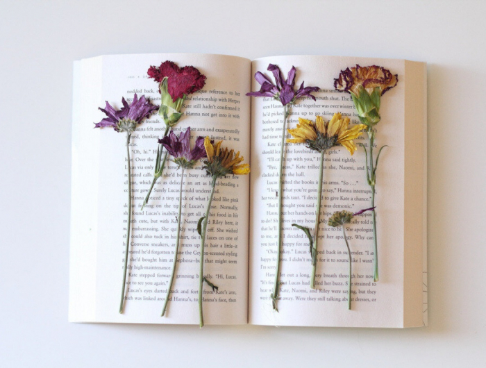 Come essiccare i fiori: facciamolo nei libri, esattamente come una volta