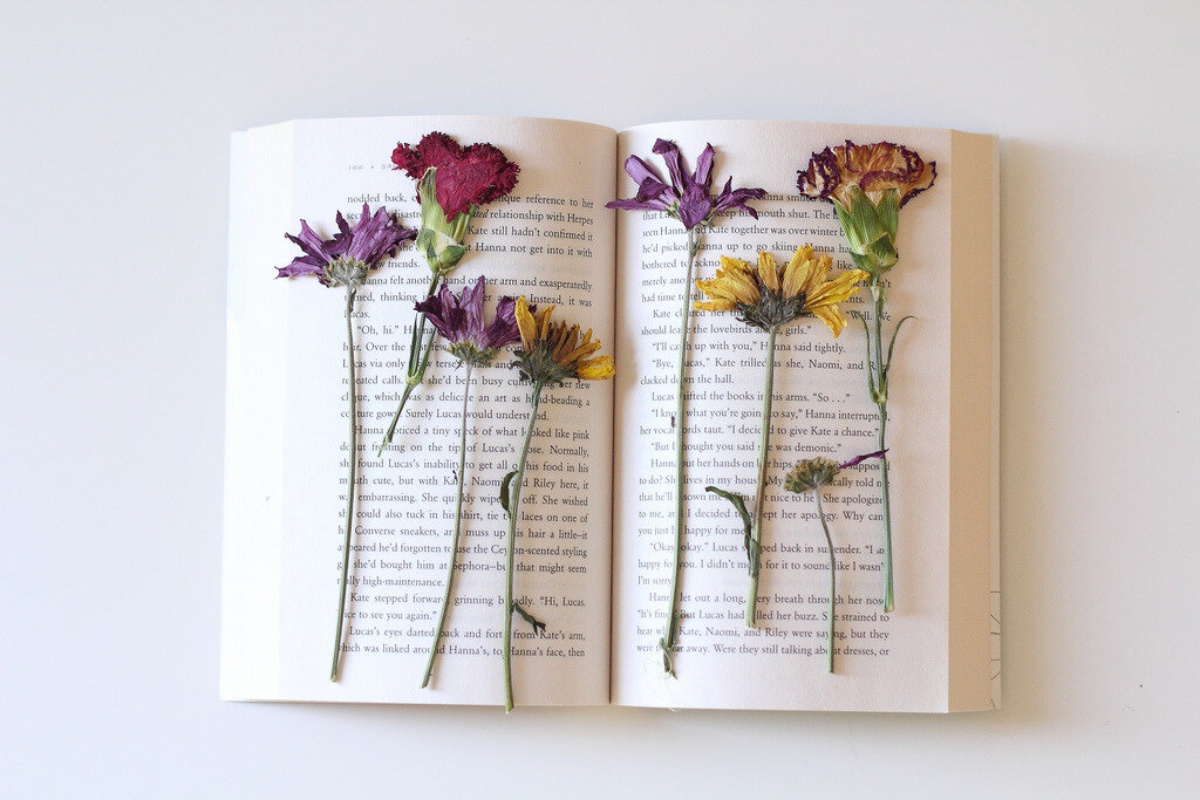 come essiccare i fiori nei libri