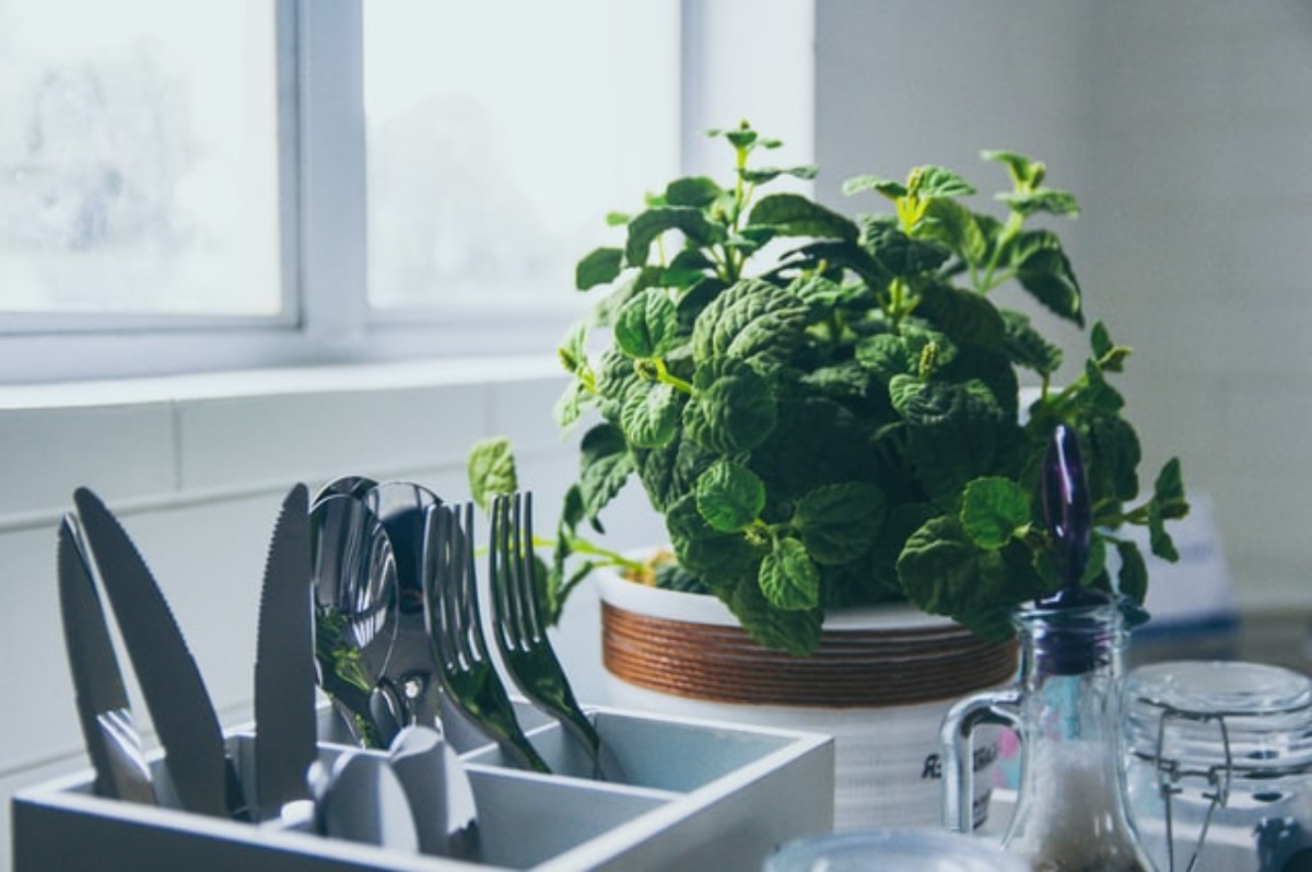 vaso con piante aromatiche in cucina