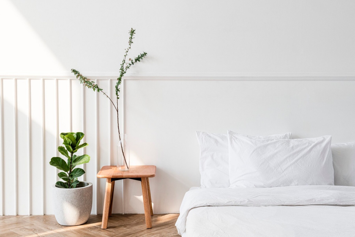 ambiente rilassante piante in camera da letto